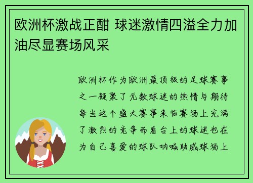 欧洲杯激战正酣 球迷激情四溢全力加油尽显赛场风采